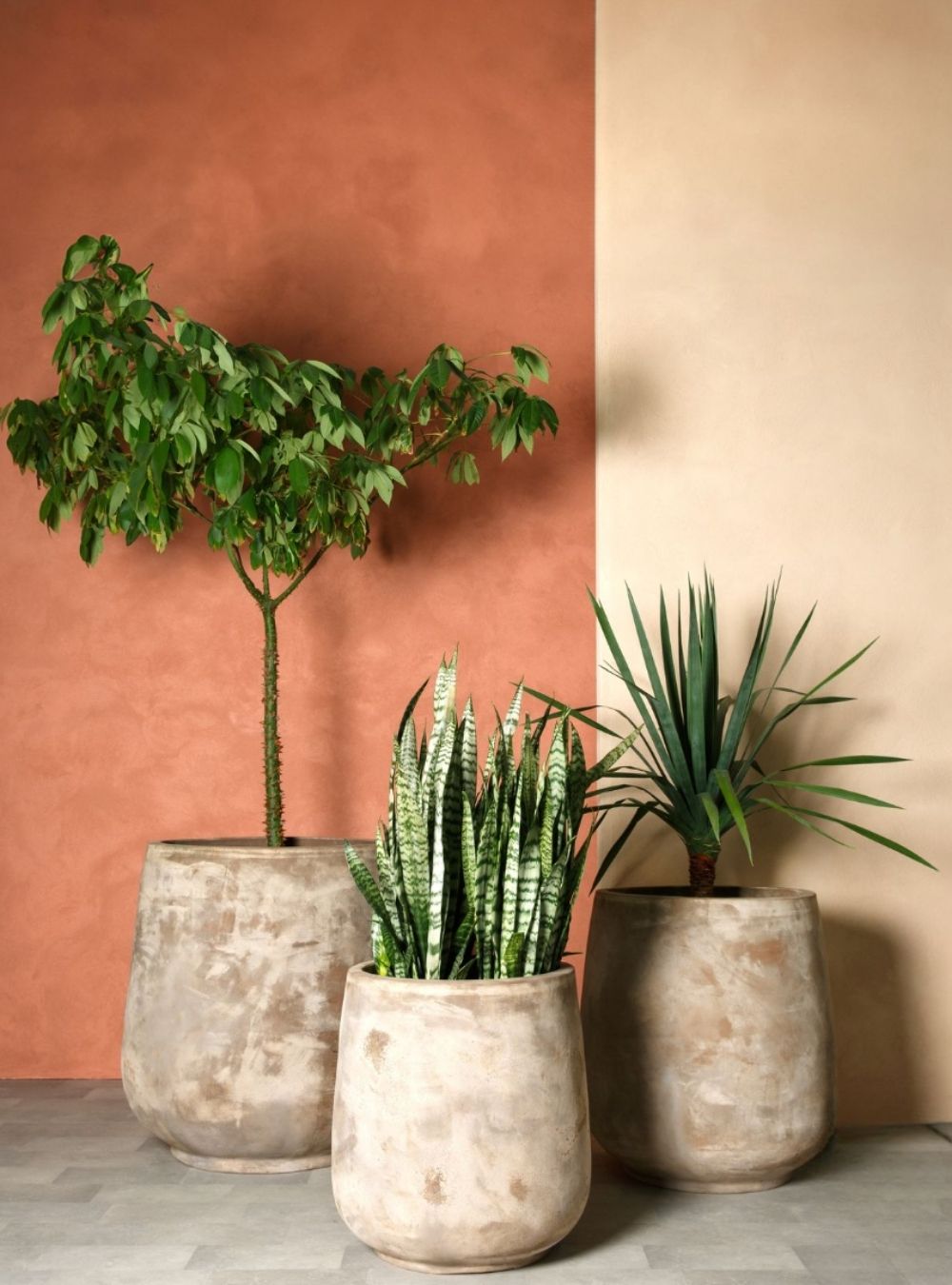 Instalación vegetal de Branca